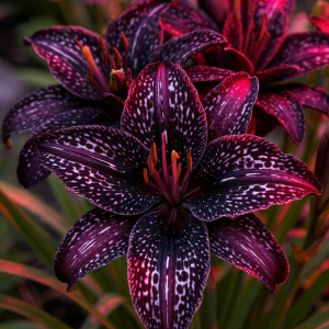 Лилейник Вояж купить по цене от 699р. в интернет-магазине «Посадика» с доставкой почтой в в Багратионовске и по всей России – [изображение №1].